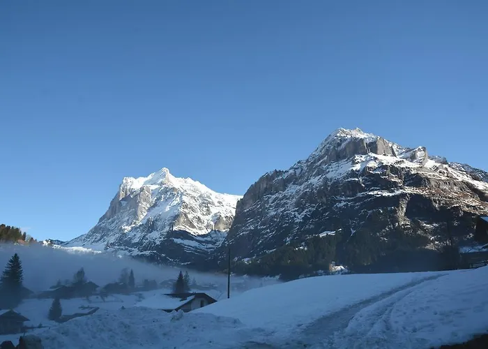 Lejlighed Alpha - Griwa Rent Ag